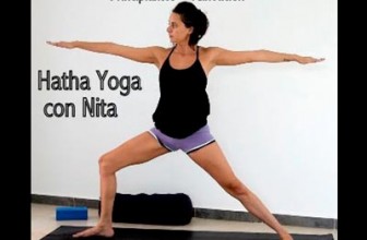 Yoga para principiantes y/o Alineación.